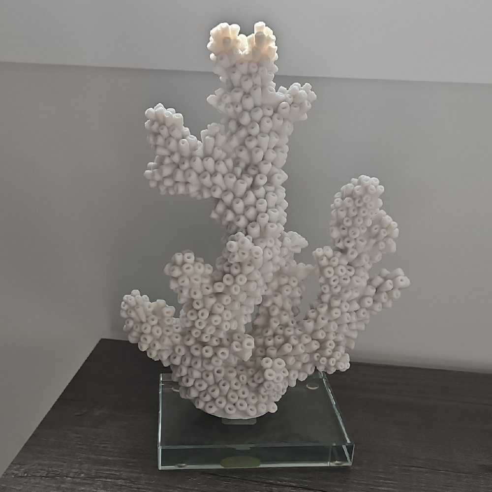 White Coral Sculpture on Glass Base